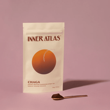 Organic Chaga Mushroom 150g