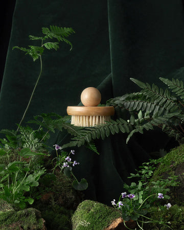 Lotus Wood Body Brush